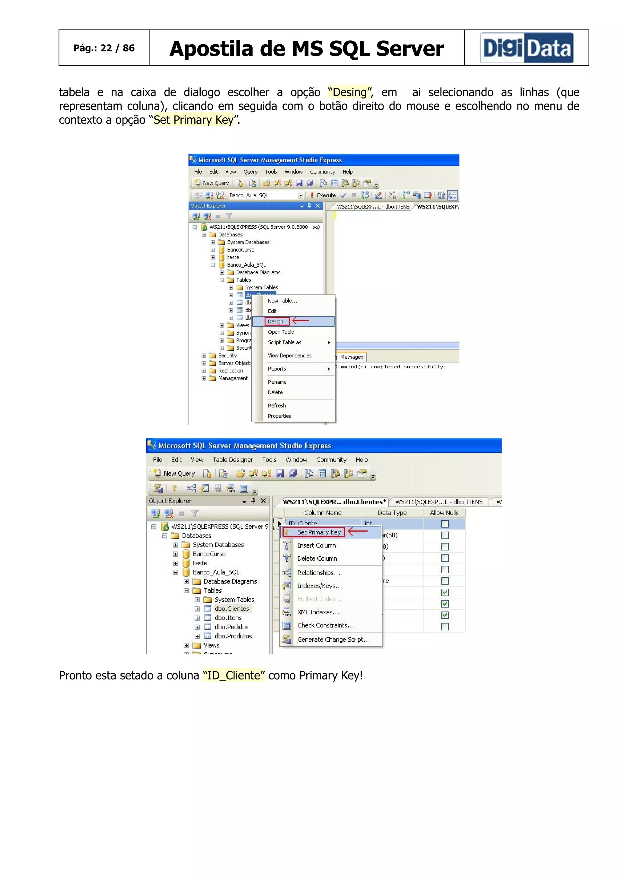 Pág.: 22 / 86

Apostila de MS SQL Server

tabela e na caixa de dialogo escolher a opção “Desing”, em ai selecionando as linhas (que
representam coluna), clicando em seguida com o botão direito do mouse e escolhendo no menu de
contexto a opção “Set Primary Key”.

Pronto esta setado a coluna “ID_Cliente” como Primary Key!

 