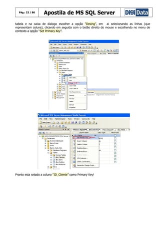 Pág.: 22 / 86

Apostila de MS SQL Server

tabela e na caixa de dialogo escolher a opção “Desing”, em ai selecionando as linhas (que
representam coluna), clicando em seguida com o botão direito do mouse e escolhendo no menu de
contexto a opção “Set Primary Key”.

Pronto esta setado a coluna “ID_Cliente” como Primary Key!

 