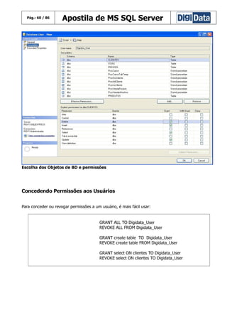 Pág.: 60 / 86

Apostila de MS SQL Server

Escolha dos Objetos de BD e permissões

Concedendo Permissões aos Usuários
Para conceder ou revogar permissões a um usuário, é mais fácil usar:

GRANT ALL TO Digidata_User
REVOKE ALL FROM Digidata_User
GRANT create table TO Digidata_User
REVOKE create table FROM Digidata_User
GRANT select ON clientes TO Digidata_User
REVOKE select ON clientes TO Digidata_User

 