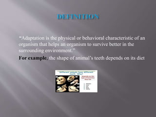 “Adaptation is the physical or behavioral characteristic of an
organism that helps an organism to survive better in the
surrounding environment.”
For example, the shape of animal’s teeth depends on its diet
 