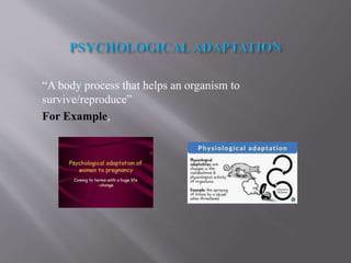 “A body process that helps an organism to
survive/reproduce”
For Example,
 