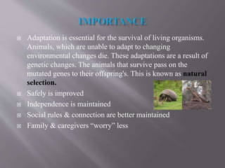  Adaptation is essential for the survival of living organisms.
Animals, which are unable to adapt to changing
environmental changes die. These adaptations are a result of
genetic changes. The animals that survive pass on the
mutated genes to their offspring's. This is known as natural
selection.
 Safely is improved
 Independence is maintained
 Social rules & connection are better maintained
 Family & caregivers “worry” less
 
