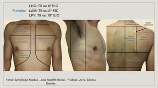Pulmão:
LHC: T5 ou 6º EIC
LAM: T6 ou 8º EIC
LPV: T9 ou 10º EIC
Fonte: Semiologia Médica - José Rodolfo Rocco. 1º Edição. 2010. Editora
Elsevier.
 