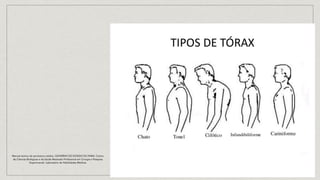 Manual teórico de semioteca médica- GOVERNO DO ESTADO DO PARÁ- Centro
de Ciências Biológicas e da Saúde Mestrado Profissional em Cirurgia e Pesquisa
Experimental. Laboratório de Habilidades Médicas
 