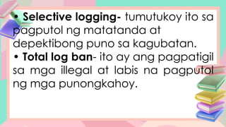 AP-4-Q2-W6.pptx ARALING PANLIPUNAN GRADE 4 | PPTX