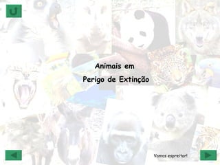 Animais em  Perigo de Extinção Vamos espreitar! 