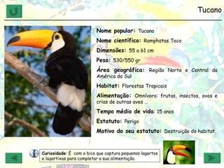 Tucano ______________________________________________________________ Nome popular:  Tucano Nome científico:  Ramphatos Toco Dimensões:  55 a 61 cm Peso:  530/550 gr Área geográfica:  Região Norte e Central da América do Sul Habitat:  Florestas Tropicais Alimentação:  Omnívoro: frutas, insectos, ovos e crias de outras aves … Tempo médio de vida :  15 anos Estatuto:  Perigo Motivo do seu estatuto:  Destruição do habitat. Curiosidade : É  com o bico que captura pequenos lagartos e lagartixas para completar a sua alimentação. 