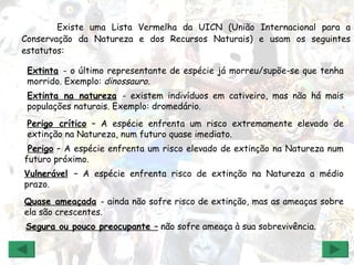 Existe uma Lista Vermelha da UICN (União Internacional para a Conservação da Natureza e dos Recursos Naturais) e usam os seguintes estatutos: Extinta   - o último representante de espécie já morreu/supõe-se que tenha morrido. Exemplo:  dinossauro.   Extinta na natureza   - existem indivíduos em cativeiro, mas não há mais populações naturais. Exemplo: dromedário. Perigo crítico  – A espécie enfrenta um risco extremamente elevado de extinção na Natureza, num futuro quase imediato.   Perigo  – A espécie enfrenta um risco elevado de extinção na Natureza num futuro próximo. Vulnerável   – A espécie enfrenta risco de extinção na Natureza a médio prazo. Quase ameaçada   - ainda não sofre risco de extinção, mas as ameaças sobre ela são crescentes.  Segura ou pouco preocupante –  não sofre ameaça à sua sobrevivência. 