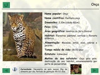 ameaçado Onça ______________________________________________________________ Nome popular:  Onça Nome científico:  Panthera onça Dimensões:  2,10m (cauda-80cm) Peso:  110kg Área geográfica:  América do Sul e Central Habitat:  Florestas, pantanal, cerrado e floresta atlântica. Alimentação:  Macacos, antas, aves, cobras e jacarés. Tempo médio de vida:   18/20 anos Estatuto:  Vulnerável Motivo do seu estatuto:  Caça pela pele; destruição do seu habitat; envenenamento por parte de pecuaristas. Curiosidade:  Necessita de pelo menos 2kg de alimento por dia. Período de gestação 95/111 dias. 