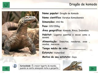 Dragão de Komodo ______________________________________________________________ Nome popular:  Dragão de Komodo Nome científico :  Varanus Komodoensis Dimensões:  Até 4m Peso:  120/150kg Área geográfica:  Komodo, Rinca, Indonésia Habitat:  Lugares quentes e secos como a savana Alimentação:  Insectos, roedores, ovos , veados , macacos… Tempo médio de vida:  ____________  Estatuto:  Vulnerável Motivo do seu estatuto:  Caça. Dragão de komodo ______________________________________________________________ Curiosidade:  É o maior lagarto do mundo; quando se sente ameaçado incha a garganta.  