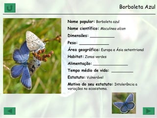 Borboleta Azul ______________________________________________________________ Nome popular:  Borboleta azul Nome científico:   Maculinea alcon   Dimensões:  __________ Peso: ____________ Área geográfica:  Europa e Ásia setentrional Habitat:  Zonas verdes  Alimentação:  ________________ Tempo médio de vida:   __________ Estatuto:  Vulnerável Motivo do seu estatuto:  Intolerância a variações no ecosistema. 
