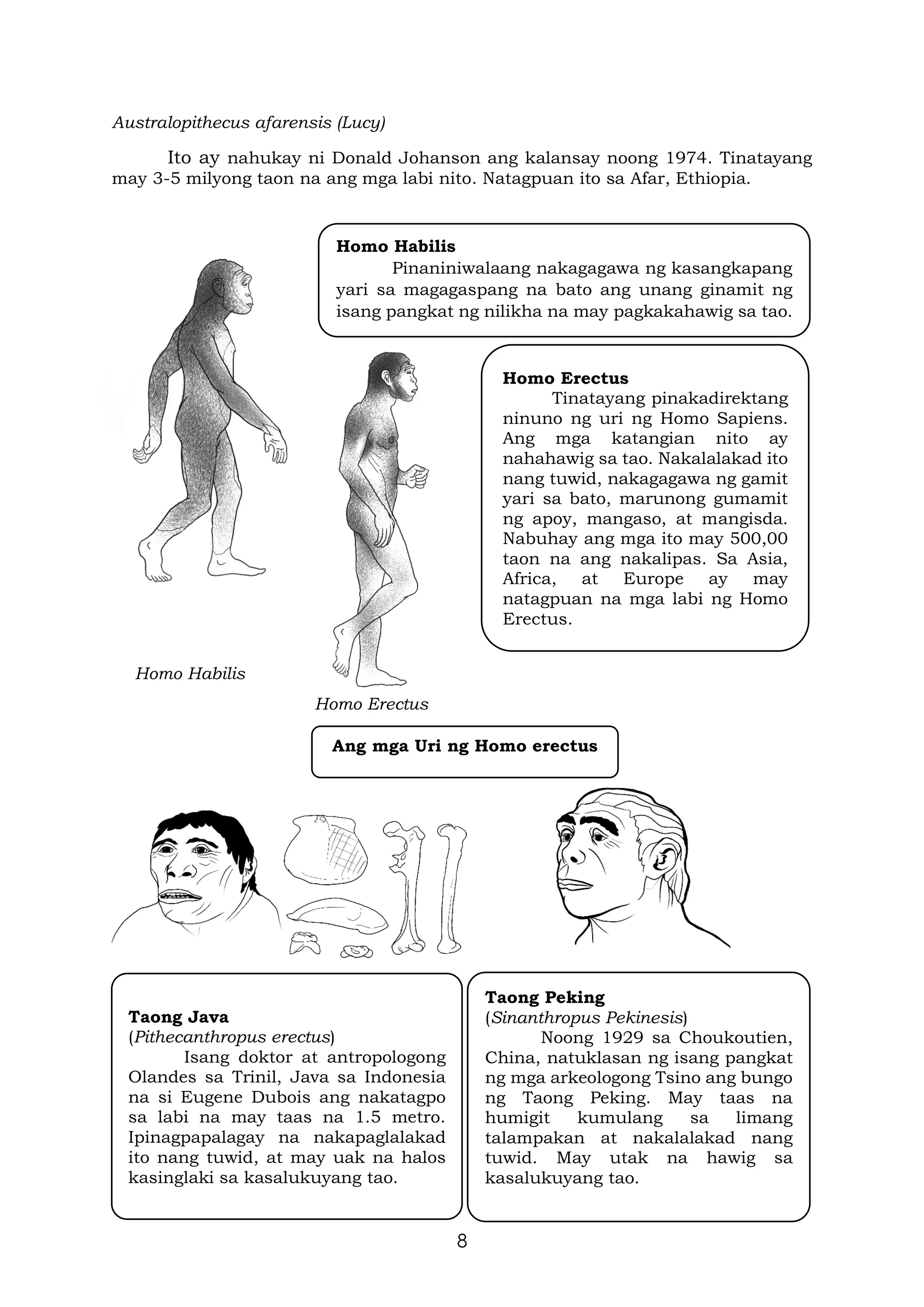 8
Australopithecus afarensis (Lucy)
Ito ay nahukay ni Donald Johanson ang kalansay noong 1974. Tinatayang
may 3-5 milyong taon na ang mga labi nito. Natagpuan ito sa Afar, Ethiopia.
Homo Habilis
Pinaniniwalaang nakagagawa ng kasangkapang
yari sa magagaspang na bato ang unang ginamit ng
isang pangkat ng nilikha na may pagkakahawig sa tao.
Homo Erectus
Tinatayang pinakadirektang
ninuno ng uri ng Homo Sapiens.
Ang mga katangian nito ay
nahahawig sa tao. Nakalalakad ito
nang tuwid, nakagagawa ng gamit
yari sa bato, marunong gumamit
ng apoy, mangaso, at mangisda.
Nabuhay ang mga ito may 500,00
taon na ang nakalipas. Sa Asia,
Africa, at Europe ay may
natagpuan na mga labi ng Homo
Erectus.
Ang mga Uri ng Homo erectus
Taong Java
(Pithecanthropus erectus)
Isang doktor at antropologong
Olandes sa Trinil, Java sa Indonesia
na si Eugene Dubois ang nakatagpo
sa labi na may taas na 1.5 metro.
Ipinagpapalagay na nakapaglalakad
ito nang tuwid, at may uak na halos
kasinglaki sa kasalukuyang tao.
Taong Peking
(Sinanthropus Pekinesis)
Noong 1929 sa Choukoutien,
China, natuklasan ng isang pangkat
ng mga arkeologong Tsino ang bungo
ng Taong Peking. May taas na
humigit kumulang sa limang
talampakan at nakalalakad nang
tuwid. May utak na hawig sa
kasalukuyang tao.
Homo Habilis
Homo Erectus
 