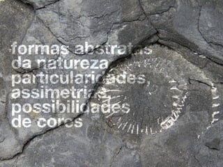 Branding - Adoro Pedras