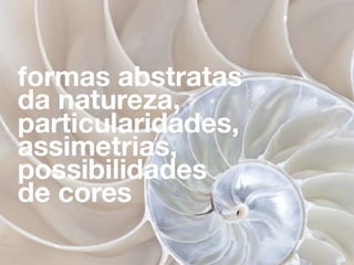 Branding - Adoro Pedras