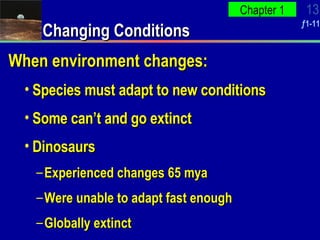When environment changes: Species must adapt to new conditions Some can’t and go extinct Dinosaurs Experienced changes 65 mya Were unable to adapt fast enough Globally extinct Changing Conditions 