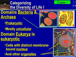Categorizing the Diversity of Life I Domains  Bacteria  &  Archaea Prokaryotic Mostly  unicellular Domain  Eukarya  is  eukaryotic And other  organelles Cells with distinct membrane-bound  nucleus 