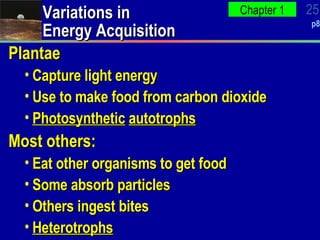 Variations in Energy Acquisition Plantae Capture light energy Use to make food from carbon dioxide Photosynthetic   autotrophs Most others: Eat other organisms to get food Some absorb particles Others ingest bites Heterotrophs 