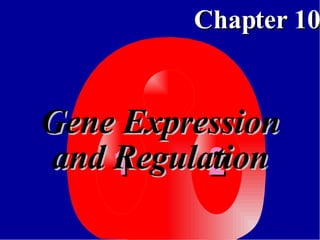 Gene Expression and Regulation 
