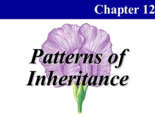 Patterns of Inheritance 
