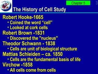 Ap Bio Ch 4 PowerPOint | PPT