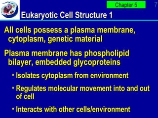 Ap Bio Ch 4 PowerPOint | PPT