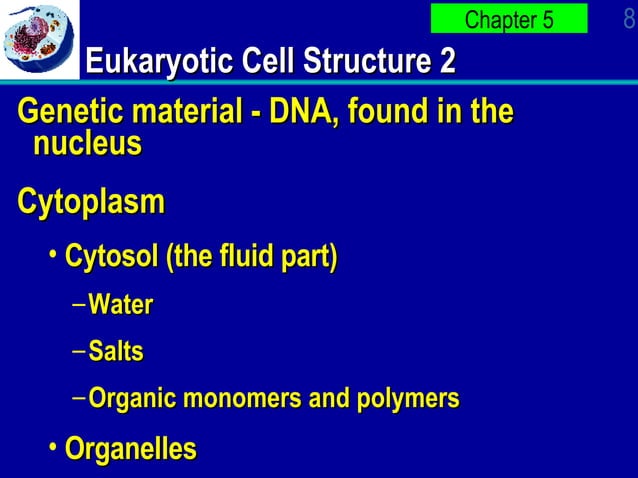 Ap Bio Ch 4 PowerPOint | PPT