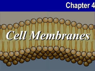 Cell Membranes 