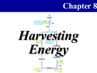 Chapter 8


Harvesting
 Energy