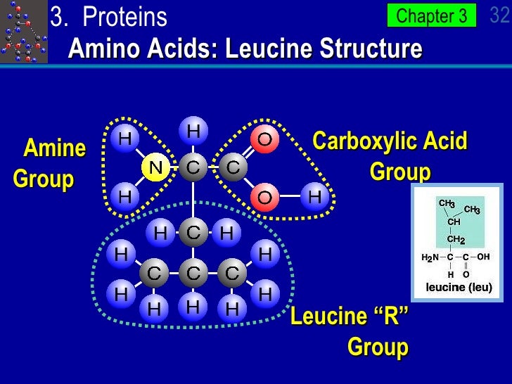Ap Bio Ch3 PowerPoint