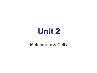Unit 2 Metabolism & Cells 