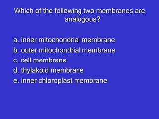 Which of the following two membranes are analogous? a. inner mitochondrial membrane  b. outer mitochondrial membrane c. cell membrane d. thylakoid membrane e. inner chloroplast membrane 