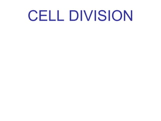 CELL DIVISION 