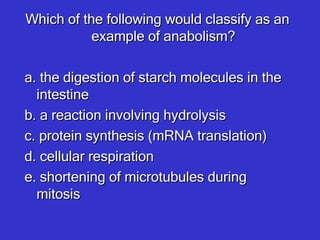 Which of the following would classify as an example of anabolism? a. the digestion of starch molecules in the intestine b. a reaction involving hydrolysis c. protein synthesis (mRNA translation) d. cellular respiration e. shortening of microtubules during mitosis 