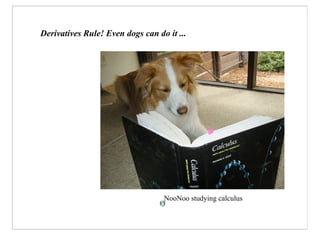 Derivatives Rule! Even dogs can do it ...




                                  NooNoo studying calculus