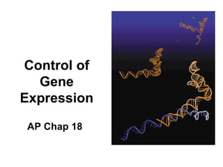 Control of Gene Expression AP Chap 18 