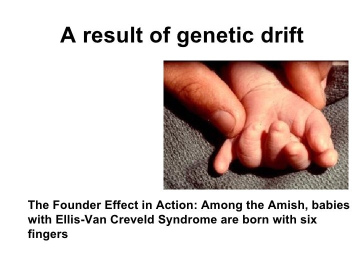 Is Evolution The Result Of Natural Selection Is Evolution The Result Of Natural Selection