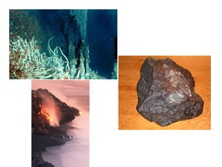Ap Chap 25 The History Of Life On Earth | PPT