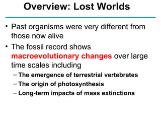 Ap Chap 25 The History Of Life On Earth | PPT