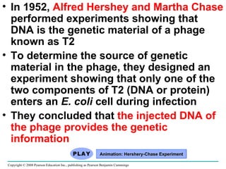 In 1952,  Alfred Hershey and Martha Chase  performed experiments showing that DNA is the genetic material of a phage known as T2 To determine the source of genetic material in the phage, they designed an experiment showing that only one of the two components of T2 (DNA or protein) enters an  E. coli  cell during infection They concluded that  the injected DNA of the phage provides the genetic information  Copyright © 2008 Pearson Education Inc., publishing as Pearson Benjamin Cummings Animation: Hershery-Chase Experiment 