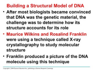 Building a Structural Model of DNA After most biologists became convinced that DNA was the genetic material, the challenge was to determine how its structure accounts for its role Maurice Wilkins and Rosalind Franklin  were using a technique called X-ray crystallography to study molecular structure Franklin produced a picture of the DNA molecule using this technique Copyright © 2008 Pearson Education Inc., publishing as Pearson Benjamin Cummings 