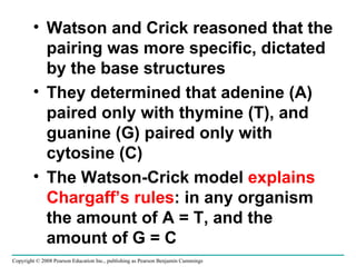 Watson and Crick reasoned that the pairing was more specific, dictated by the base structures They determined that adenine (A) paired only with thymine (T), and guanine (G) paired only with cytosine (C) The Watson-Crick model  explains Chargaff’s rules : in any organism the amount of A = T, and the amount of G = C Copyright © 2008 Pearson Education Inc., publishing as Pearson Benjamin Cummings 