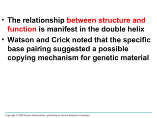 The relationship  between structure and   function  is manifest in the double helix Watson and Crick noted that the specific base pairing suggested a possible copying mechanism for genetic material Copyright © 2008 Pearson Education Inc., publishing as Pearson Benjamin Cummings 