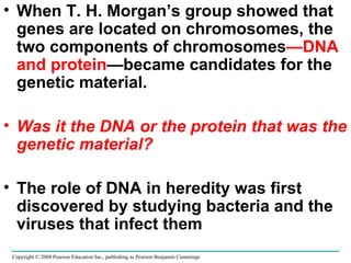 When T. H. Morgan’s group showed that genes are located on chromosomes, the two components of chromosomes —DNA and   protein —became candidates for the genetic material. Was it the DNA or the protein that was the genetic material? The role of DNA in heredity was first discovered by studying bacteria and the viruses that infect them Copyright © 2008 Pearson Education Inc., publishing as Pearson Benjamin Cummings 