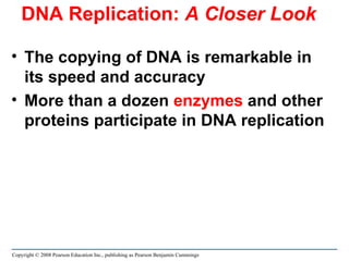 DNA Replication:  A Closer Look The copying of DNA is remarkable in its speed and accuracy More than a dozen  enzymes  and other proteins participate in DNA replication Copyright © 2008 Pearson Education Inc., publishing as Pearson Benjamin Cummings 