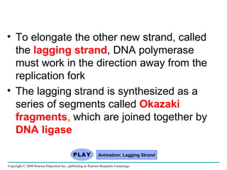 To elongate the other new strand, called the  lagging strand , DNA polymerase must work in the direction away from the replication fork The lagging strand is synthesized as a series of segments called  Okazaki fragments ,  which are joined together by  DNA ligase Copyright © 2008 Pearson Education Inc., publishing as Pearson Benjamin Cummings Animation: Lagging Strand 