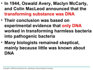 In 1944, Oswald Avery, Maclyn McCarty, and Colin MacLeod announced that the  transforming substance was DNA Their conclusion was based on experimental evidence that  only DNA  worked in transforming harmless bacteria into pathogenic bacteria Many biologists remained skeptical, mainly because little was known about DNA Copyright © 2008 Pearson Education Inc., publishing as Pearson Benjamin Cummings 