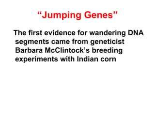“ Jumping Genes” The first evidence for wandering DNA segments came from geneticist Barbara McClintock’s breeding experiments with Indian corn 