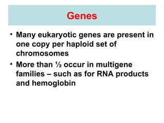 Genes Many eukaryotic genes are present in one copy per haploid set of chromosomes More than ½ occur in multigene families – such as for RNA products and hemoglobin 