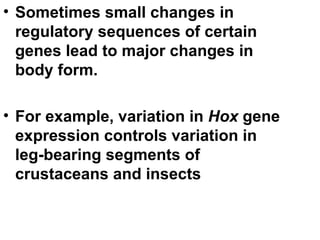 Sometimes small changes in regulatory sequences of certain genes lead to major changes in body form. For example, variation in  Hox  gene expression controls variation in leg-bearing segments of crustaceans and insects 