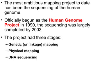 The most ambitious mapping project to date has been the sequencing of the human genome Officially begun as the  Human Genome Project   in 1990, the sequencing was largely completed by 2003 The project had three stages: Genetic (or linkage) mapping Physical mapping DNA sequencing 
